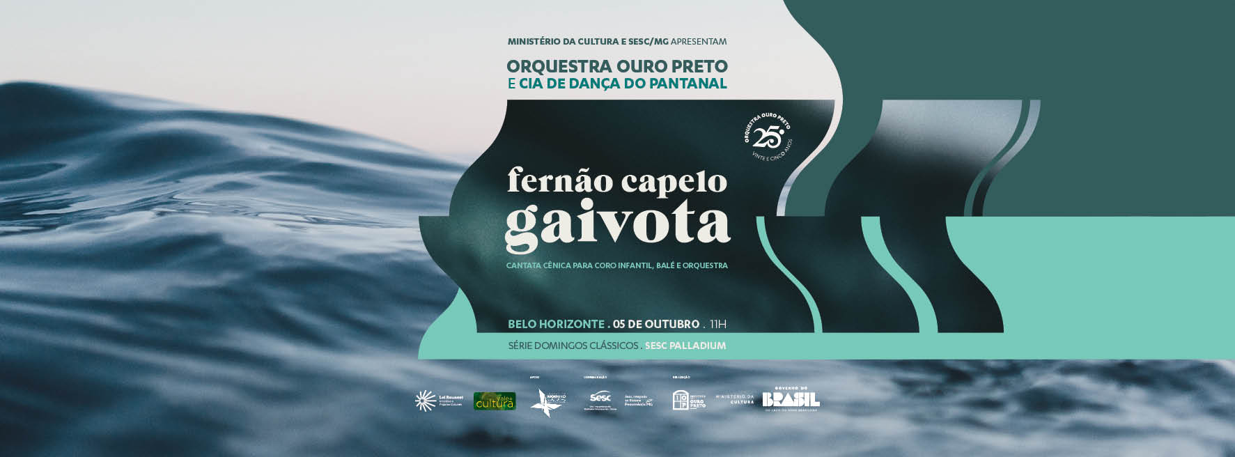 Fernão Capelo Gaivota